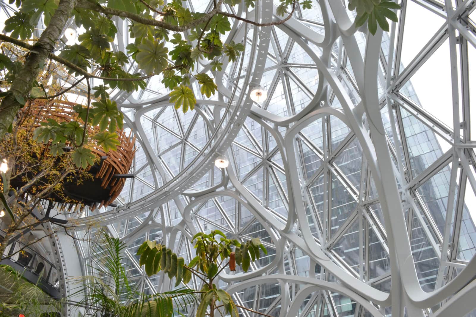 Amazon Spheres